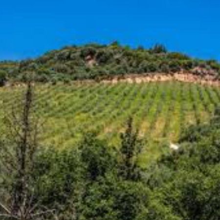 Mystras Inn Luaran gambar